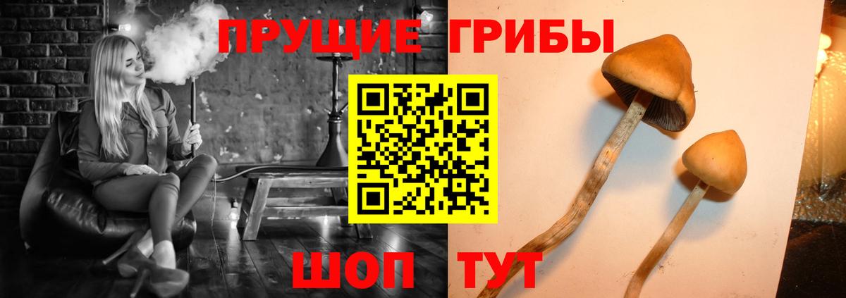 Реутов  Галлюциногенные грибы Cubensis  Псилоцибиновые грибы ЛСД  Вход с VPN 
